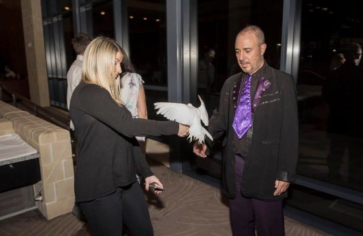 Close-up dove magic with a guest at an evening event